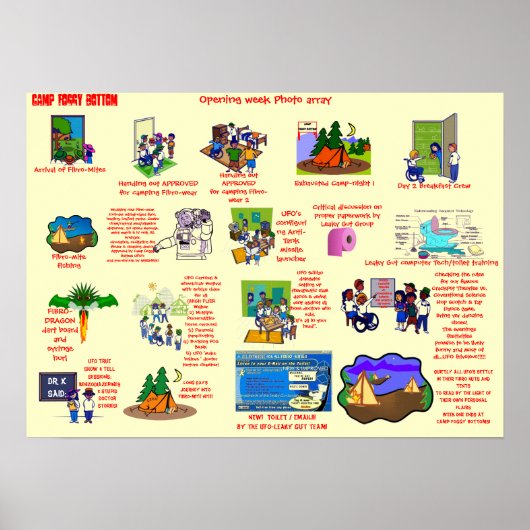 Poster "Poster de la baie photo de bas de la FIBRO-Camp F (Devant)