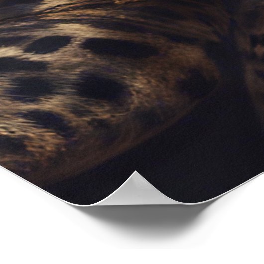 Poster *Poster de la dame léopard (Coin)