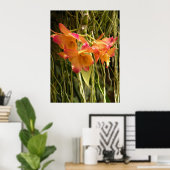 Poster Poster, Dendrobium Orchidées Orange et rose (Bureau à domicile)