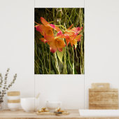 Poster Poster, Dendrobium Orchidées Orange et rose (Cuisine)