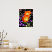 Poster Poster, Deux Poppies Orange Islande (Cuisine)