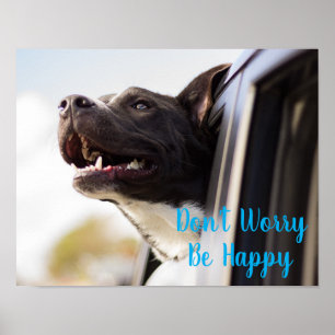 Poster Poster-Dog Visage dehors Fenêtre de voiture Ne vou