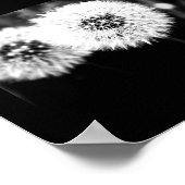 Poster Poster-Fleurs-141 (Coin)