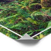 Poster Poster-Forest (Coin)