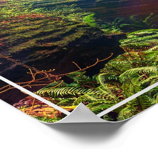 Poster Poster-Forest (Coin)