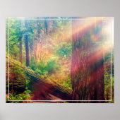 Poster Poster-Forest (Devant)