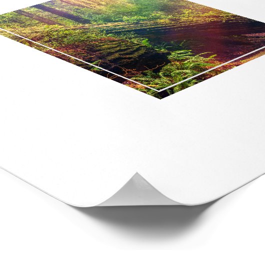 Poster Poster-Forest (Coin)