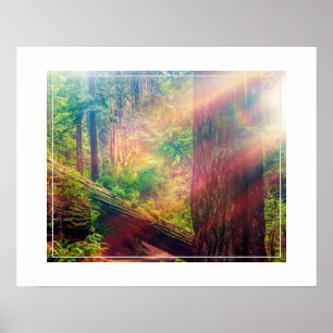 Poster Poster-Forest