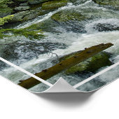 Poster Poster-Forest River (Coin)