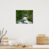 Poster Poster-Forest River (Cuisine)