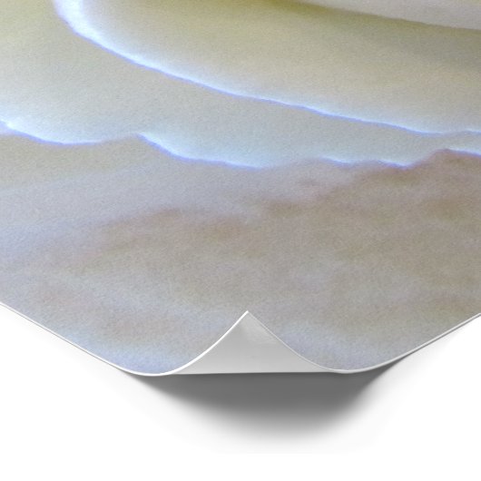 Poster Poster—Gâteau aux fraises (Coin)