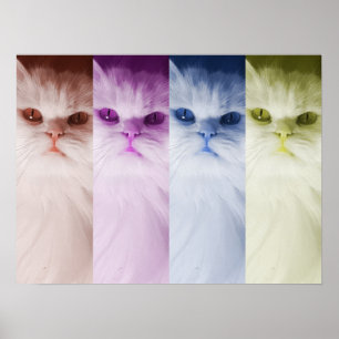Poster Póster gato de colores