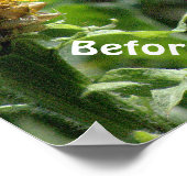 Poster Poster, Humour, "Se Faire Coiffer M'Embrasse" (Coin)