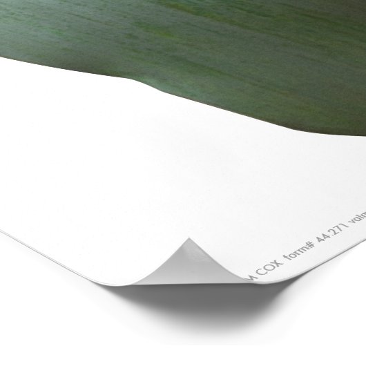 Poster Poster/Impression : "Celadon Undulate" (Coin)