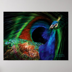 Poster Poster/Impression de l'affiche Proum One Peacock