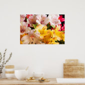 Poster Poster/Impression des fleurs d'Alstroemeria (Cuisine)
