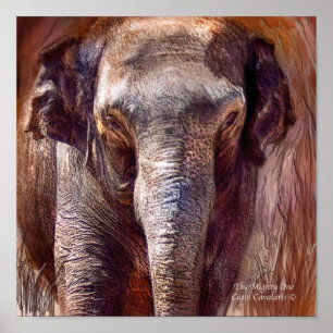 Poster Poster/Impression d'un art puissant