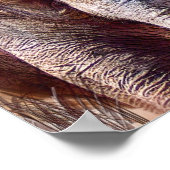 Poster Poster/Impression d'un art puissant (Coin)