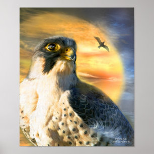 Poster Poster/Impression Falcon Sun Art