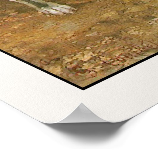 Poster Poster/Impression Greyhound : Deux Greyhounds (Coin)