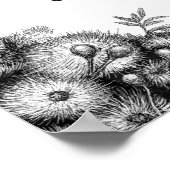 Poster Poster/Imprimé de renards volants (Coin)