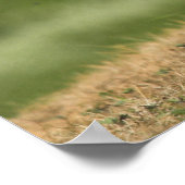 Poster Poster/imprimer (Coin)