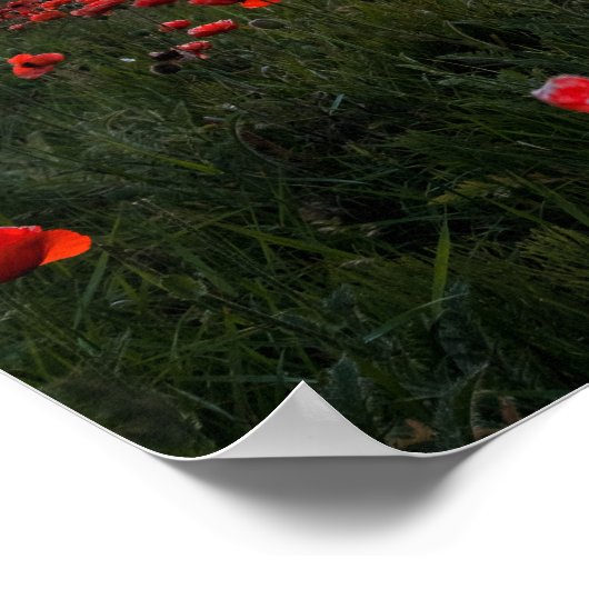 Poster Poster/imprimer (Coin)