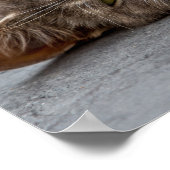 Poster Poster/Imprimer (Coin)