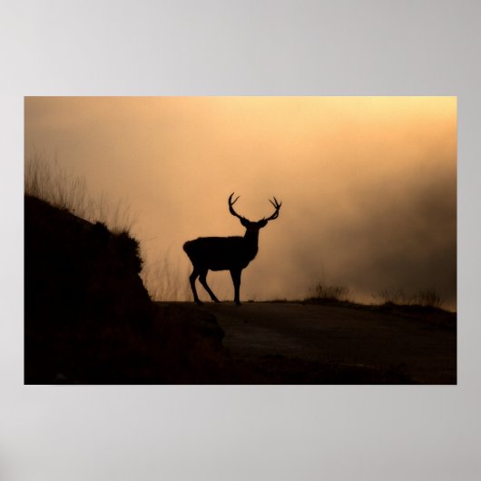 Poster Poster/Imprimer de la ceinture rouge solitaire (Devant)