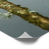 Poster Poster/Imprimer Kingfisher (Coin)