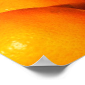 Poster Poster/Imprimer Oranges fraîches (Coin)