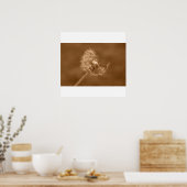 Poster Poster/Imprimer Sepia Dandelion (Cuisine)