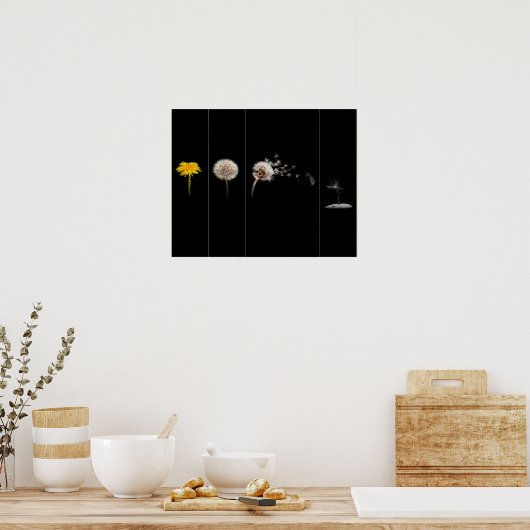 Poster Poster/imprimer sur le cycle de vie de Dandelion (Cuisine)