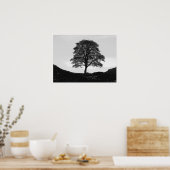Poster Poster/imprimer Sycamore Gap (Cuisine)