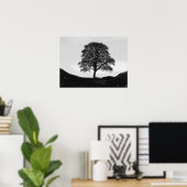 Poster Poster/imprimer Sycamore Gap (Bureau à domicile)