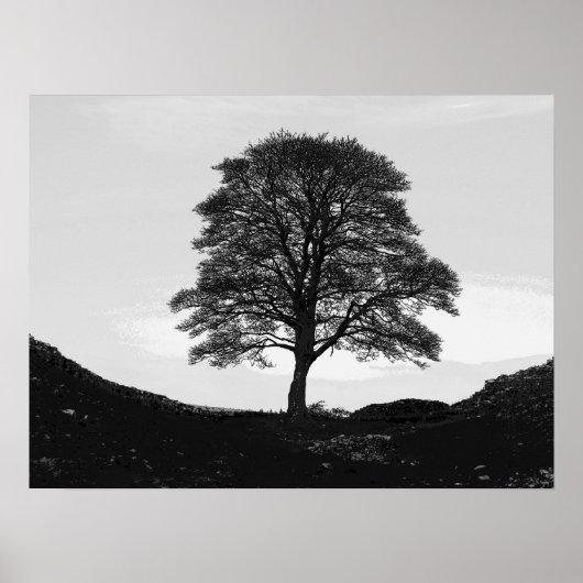 Poster Poster/imprimer Sycamore Gap (Devant)
