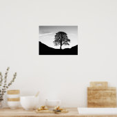 Poster Poster/imprimer Sycamore Gap (Cuisine)