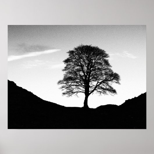Poster Poster/imprimer Sycamore Gap (Devant)