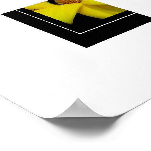 Poster Poster-Jaune (Coin)