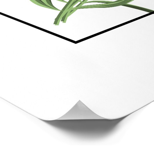 Poster Poster-Lavender (Coin)