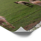 Poster Poster/Le Bon Berger (Coin)