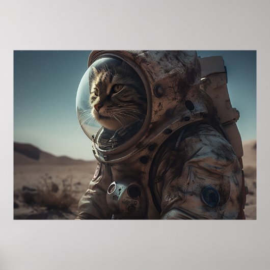 Poster Póster Life on Mars (Devant)