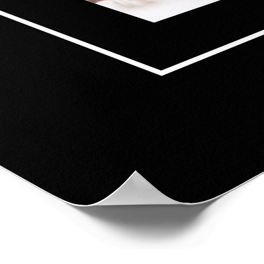 Poster Poster-Lion de montagne (Coin)