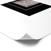 Poster Poster-Lion de montagne (Coin)