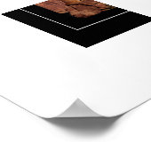 Poster Poster-Lion de montagne (Coin)