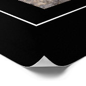 Poster Poster-Lion de montagne (Coin)