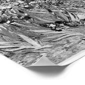 Poster Poster-Monochrome-Van Gogh-Irises (Coin)