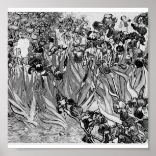 Poster Poster-Monochrome-Van Gogh-Irises