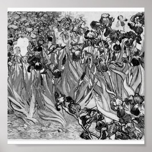 Poster Poster-Monochrome-Van Gogh-Irises (Devant)