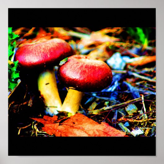 Poster Poster-Nourriture/Boisson-18 (Devant)